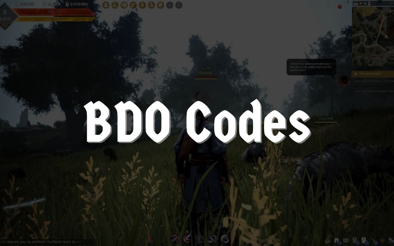 bdo codes