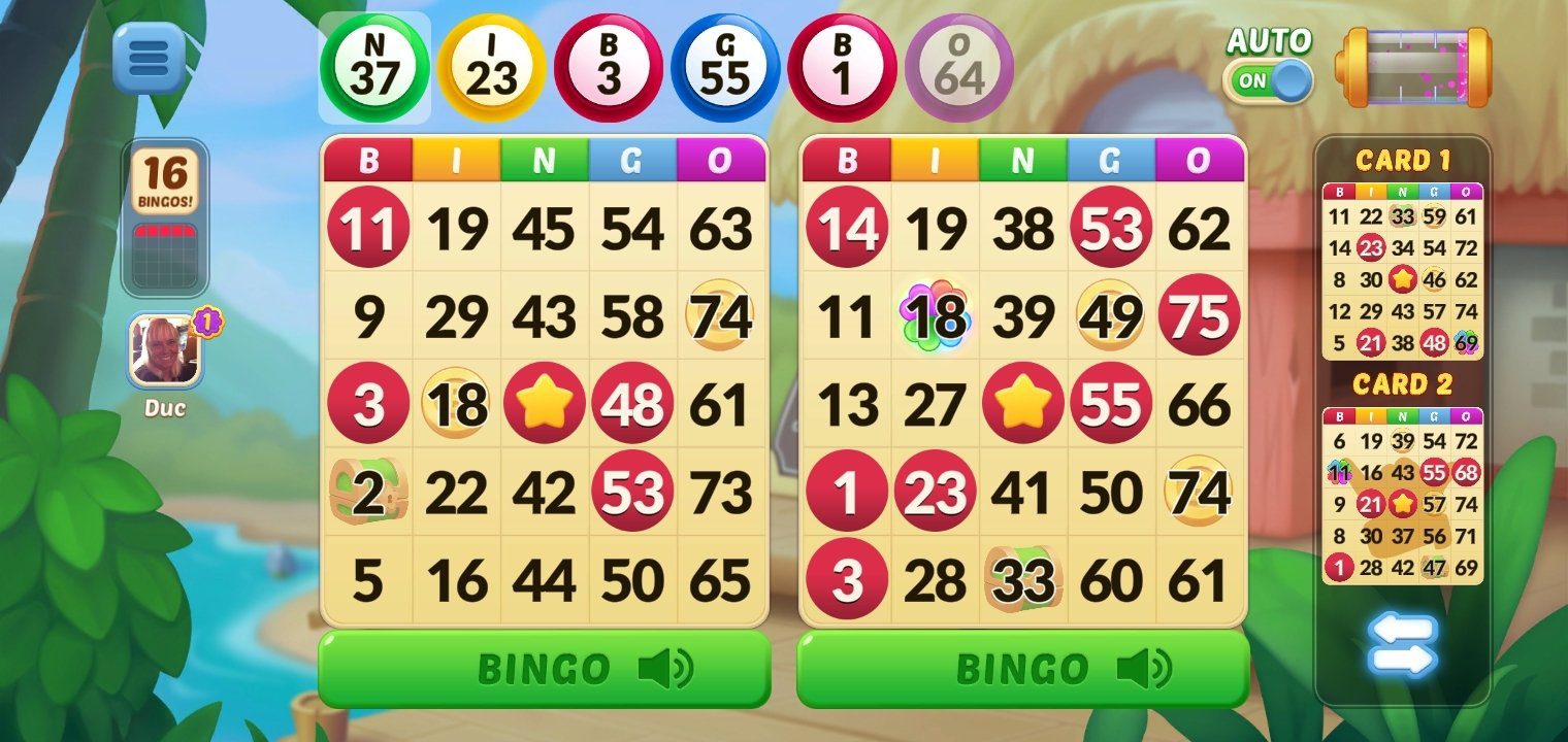 bingo-aloha